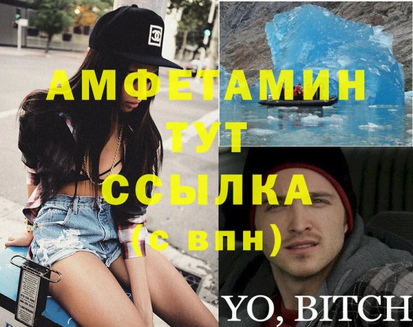 индика Горнозаводск