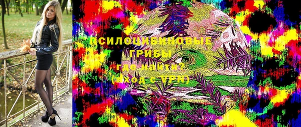 дурь Новодвинск