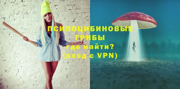 дурь Новодвинск