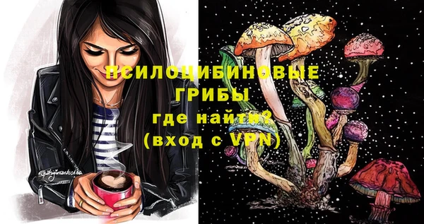 дурь Новодвинск