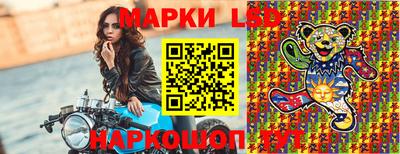 винт Кандалакша