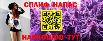 дмт Камышлов