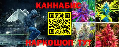 винт Кандалакша
