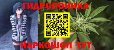 дмт Камышлов