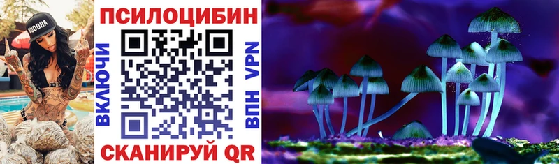 Псилоцибиновые грибы MAGIC MUSHROOMS  где купить наркоту  Улан-Удэ 