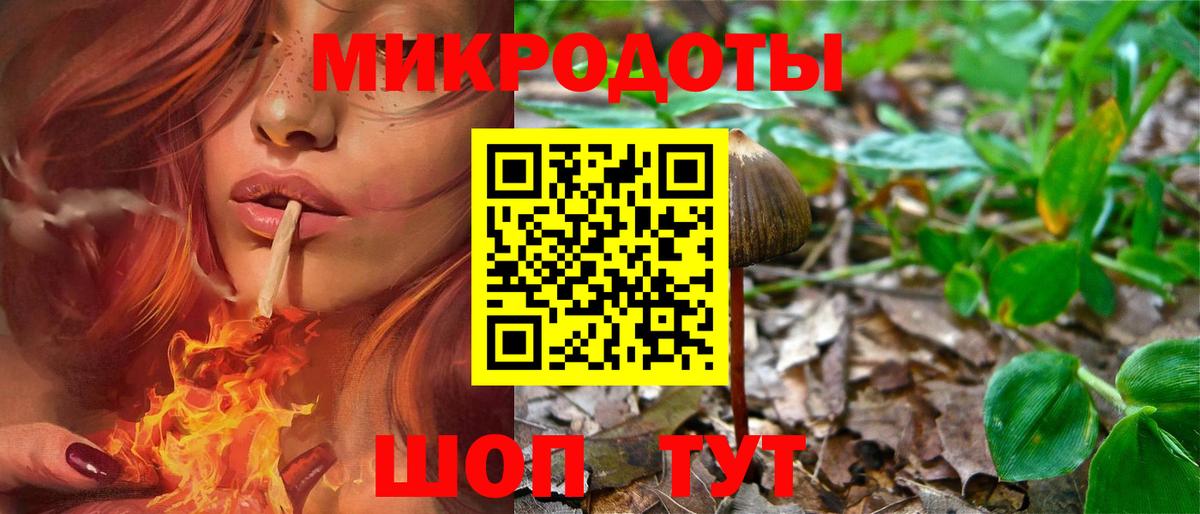 Галлюциногенные грибы Psilocybe Улан-Удэ